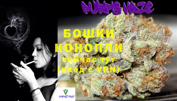 амф Протвино