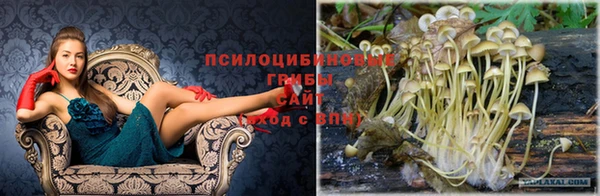 амф Протвино