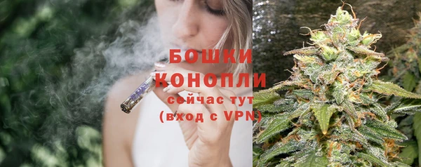 амф Протвино