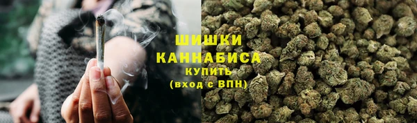 амф Протвино