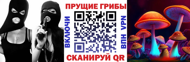 хочу   Великий Устюг  Галлюциногенные грибы Magic Shrooms 