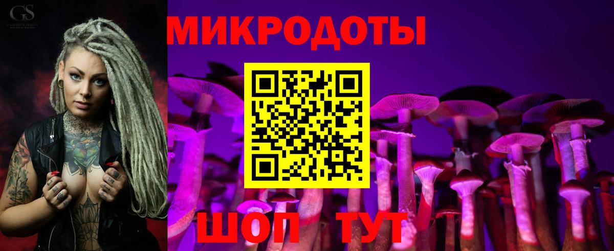 Псилоцибиновые грибы Magic Shrooms Великий Устюг