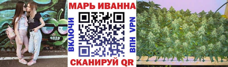Конопля Bruce Banner Великий Устюг