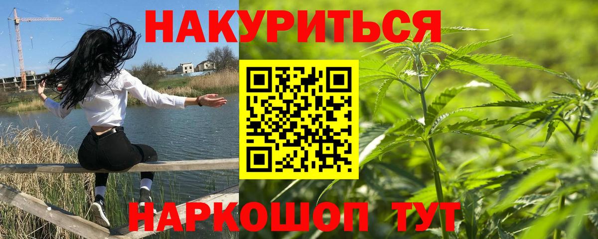 Конопля гибрид Великий Устюг